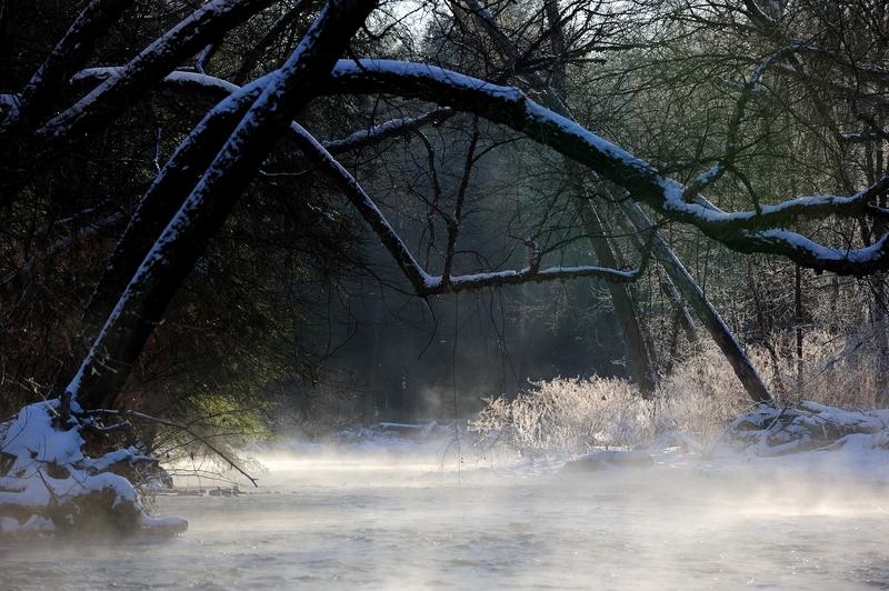 Mist on the Stream