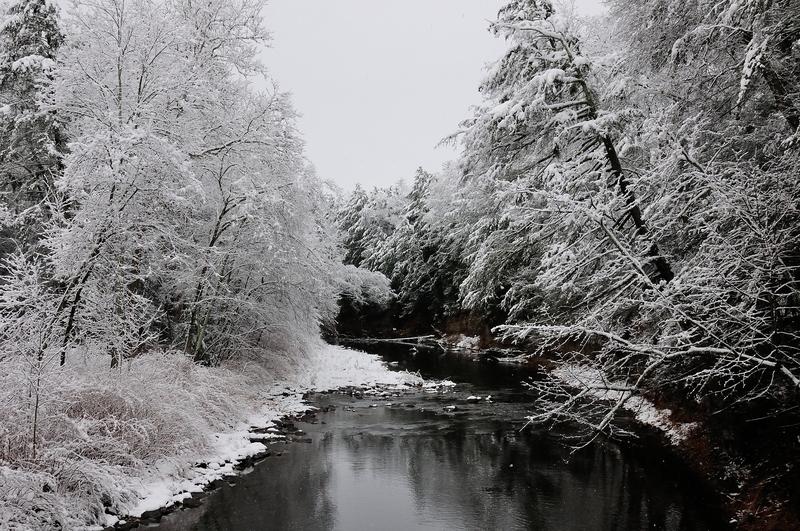 Winter Stream